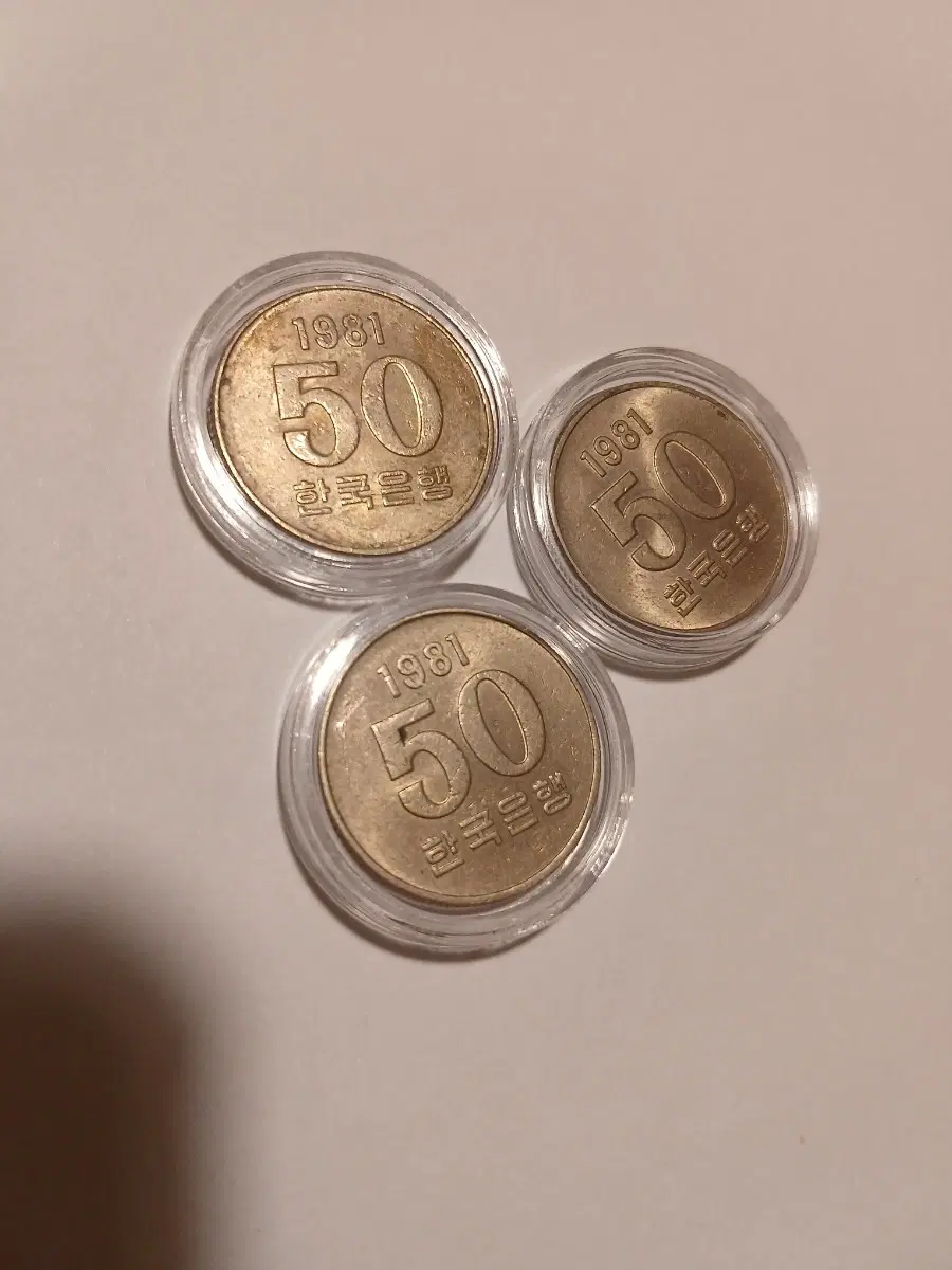 1981년 50원 3개