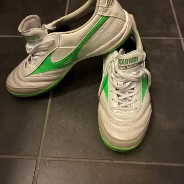 MIZUNO Professional Model 축구화