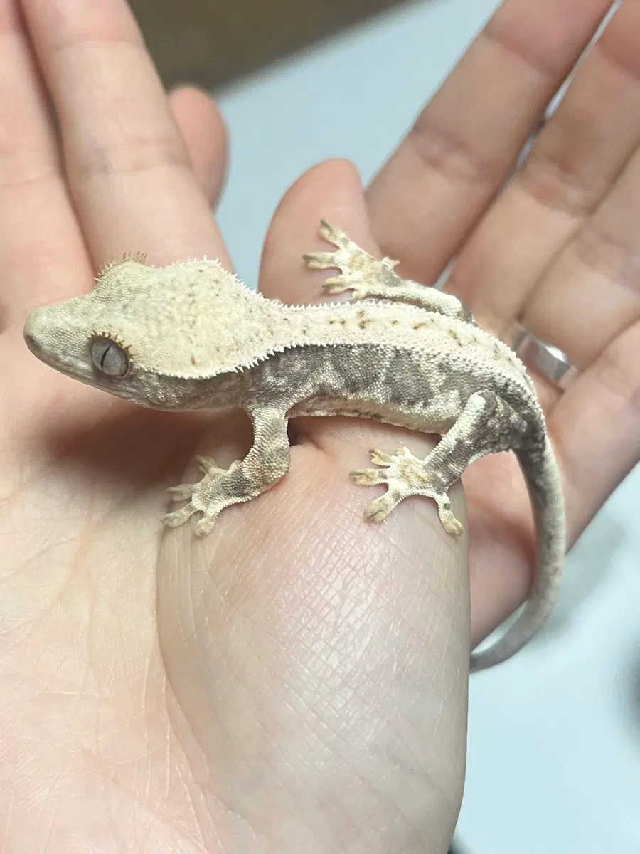 산업위생기사필기 파일 삽니다