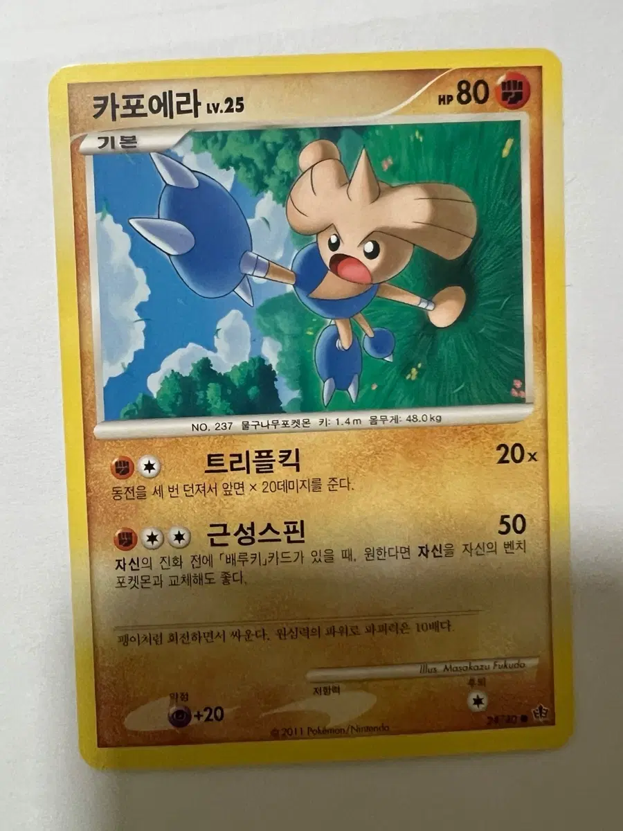 포켓몬카드 고대카드 카포에라