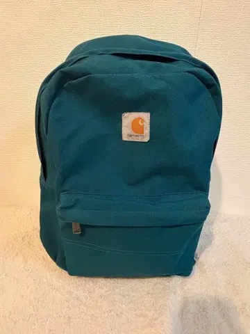 Carhartt 백팩 백팩 그린