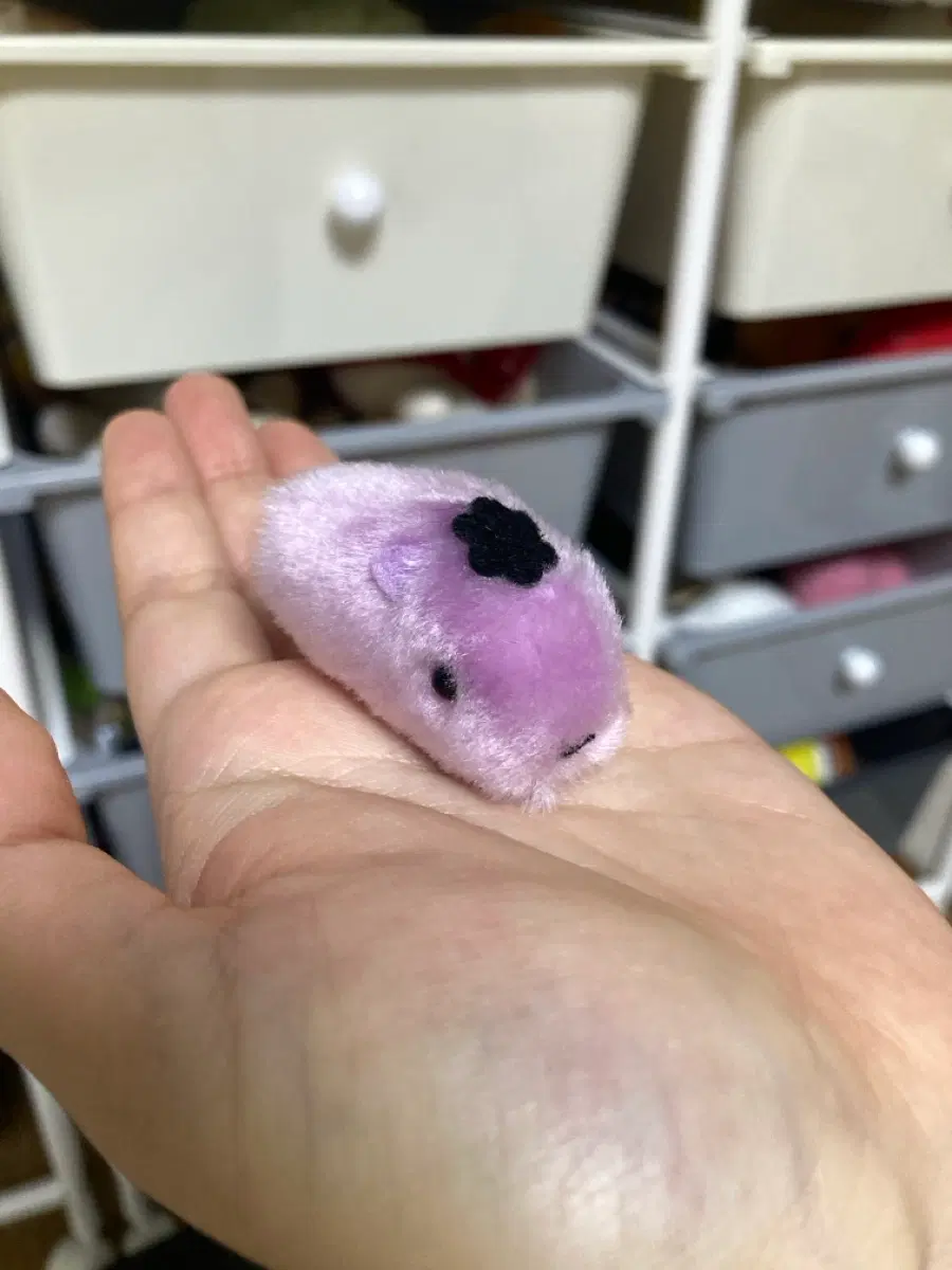 초미니 카피바라 인형