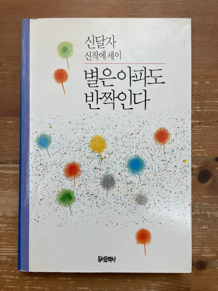 별은 아파도 반짝인다 (초판) : 신달자 에세이