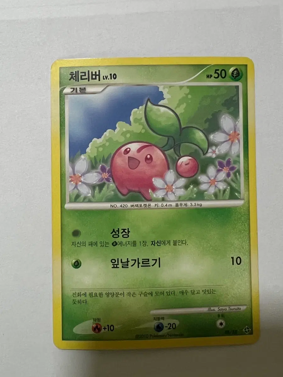 포켓몬카드 고대카드 체리버