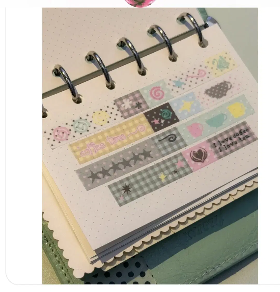 티엘씨룸 -6월마테