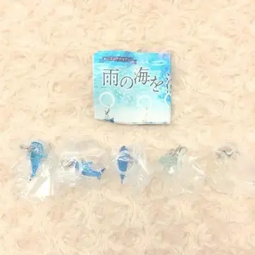 메지루시 액세서리 비의 바다를 헤엄치다 전 5종 컴플리트