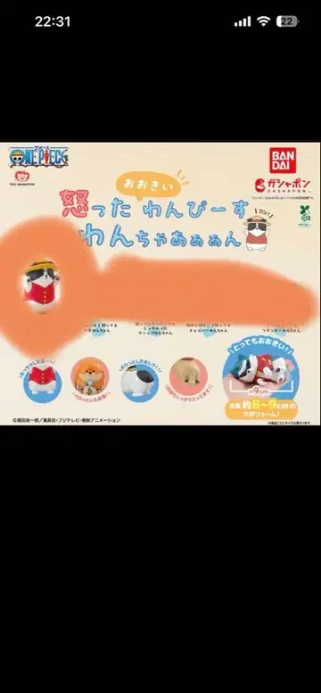 화난 커다란 원피스 강아지 루피