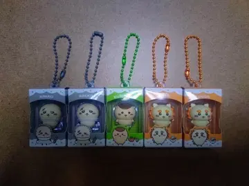 치이카와 초코 박스 5종 세트