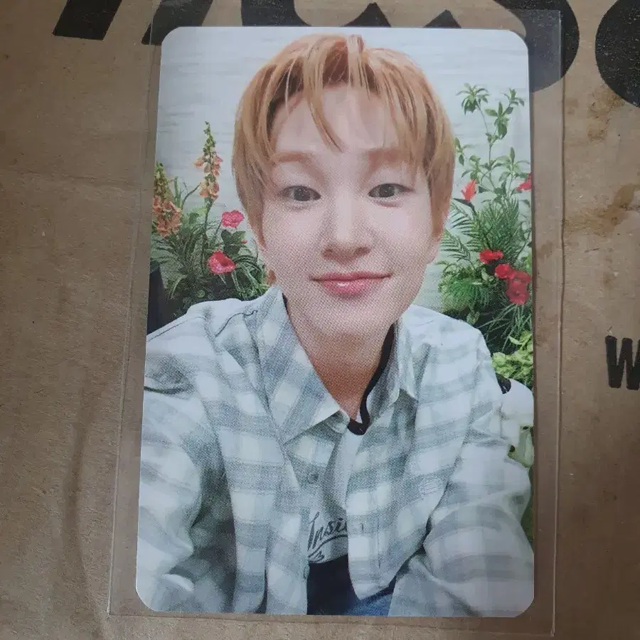 샤이니 온유 찌냥이 팝업 5만원 포카