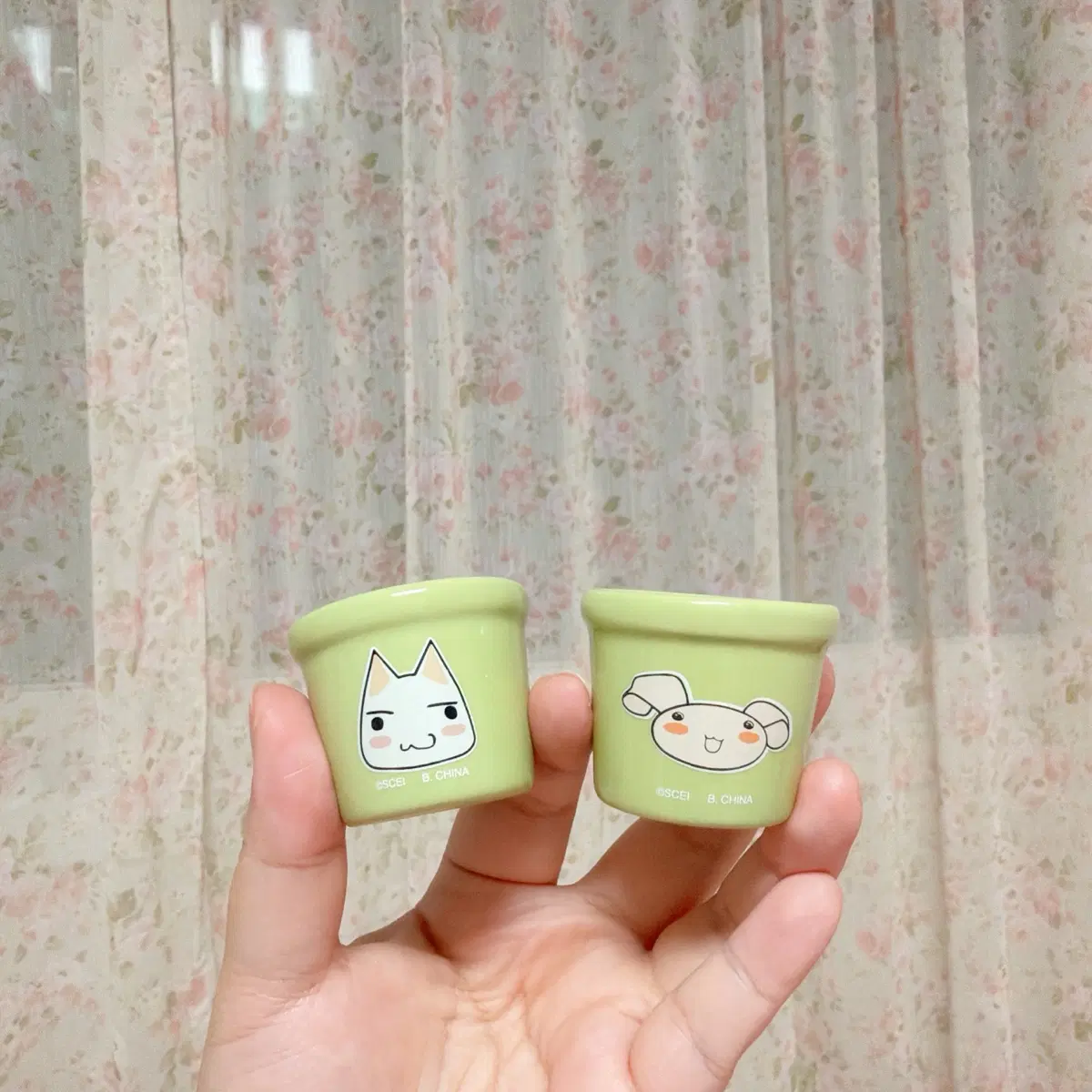 [일괄] 도코데모잇쇼 토로 준 미니 화분 가챠