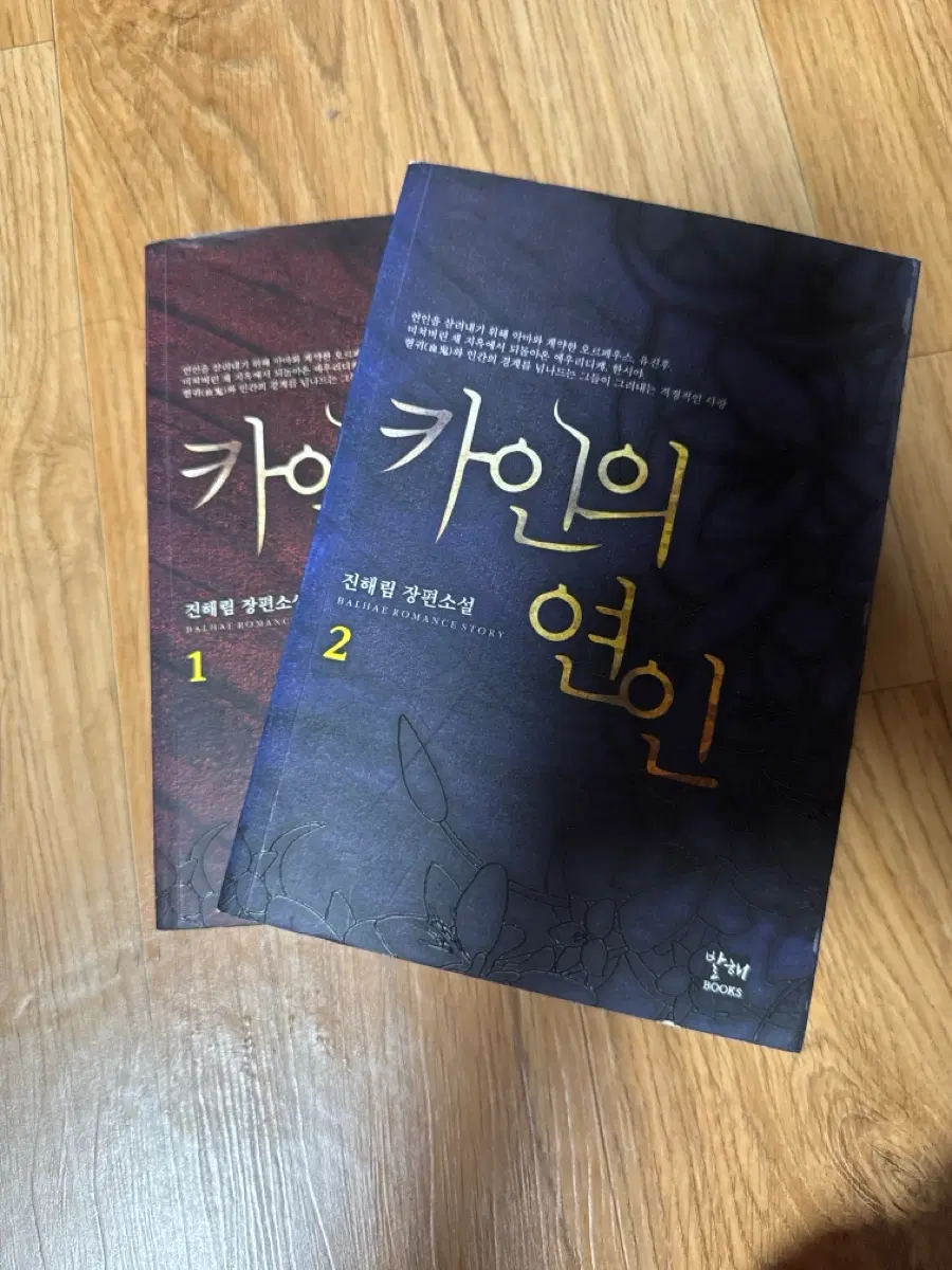 발해 BOOKS 진해림 장편소설 카인의 연인 1, 2권