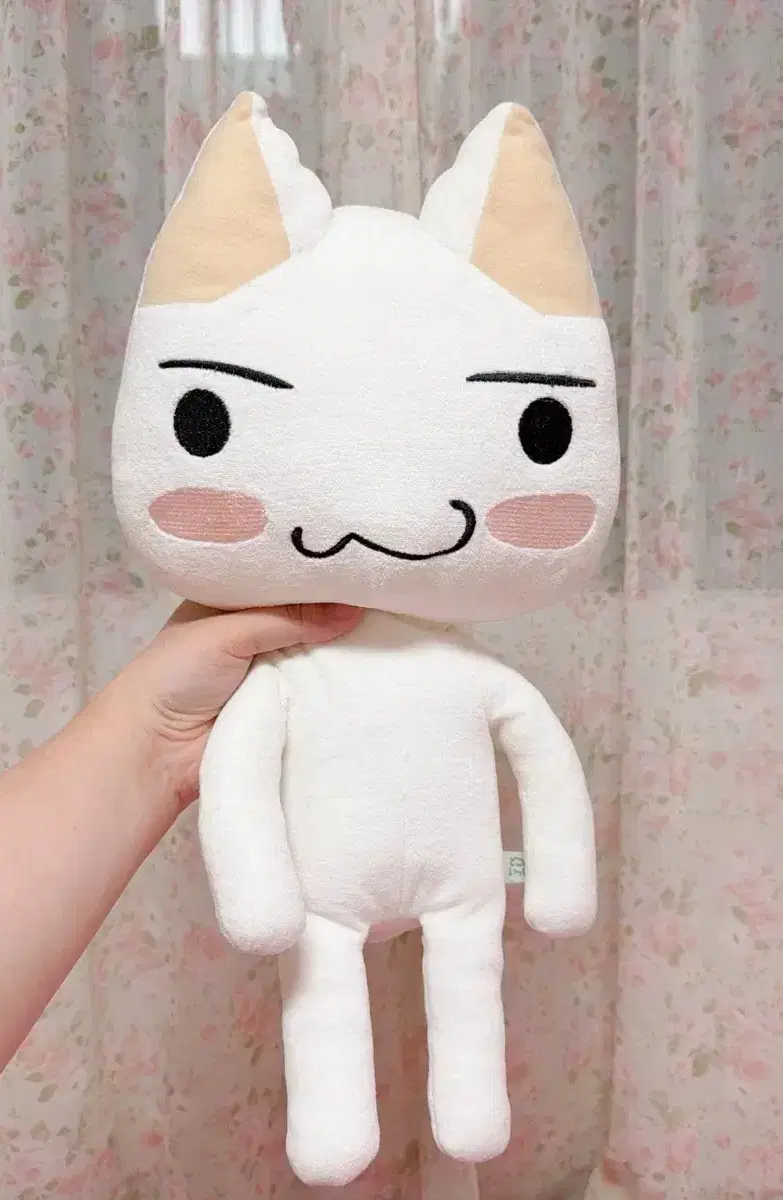 도코데모잇쇼 토로 중형 기본 인형