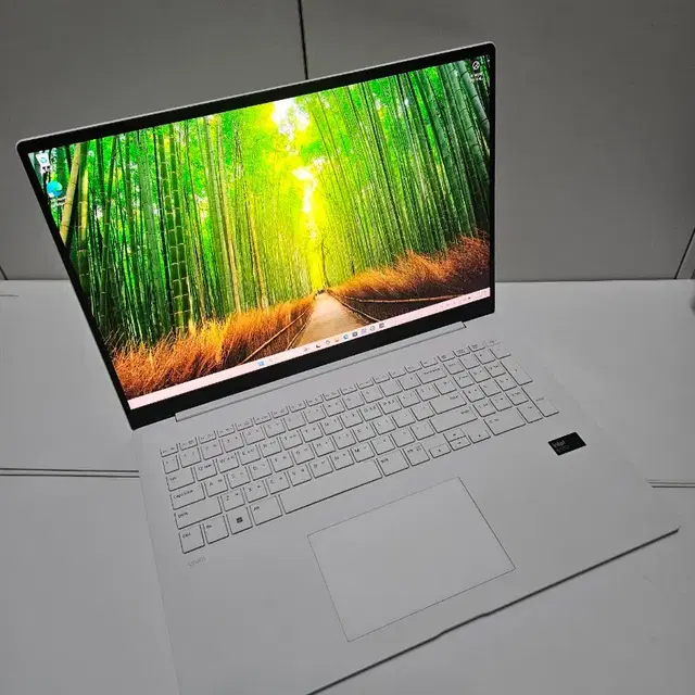 LG그램 프로 노트북 17인치 17Z90SP U5/램16/SSD256