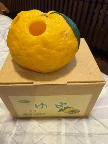 원조 식품 샘플 가게 유자 필통