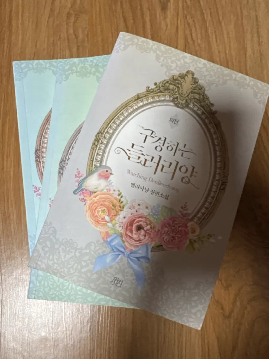구경하는 들러리양 엘리아냥 장편소설