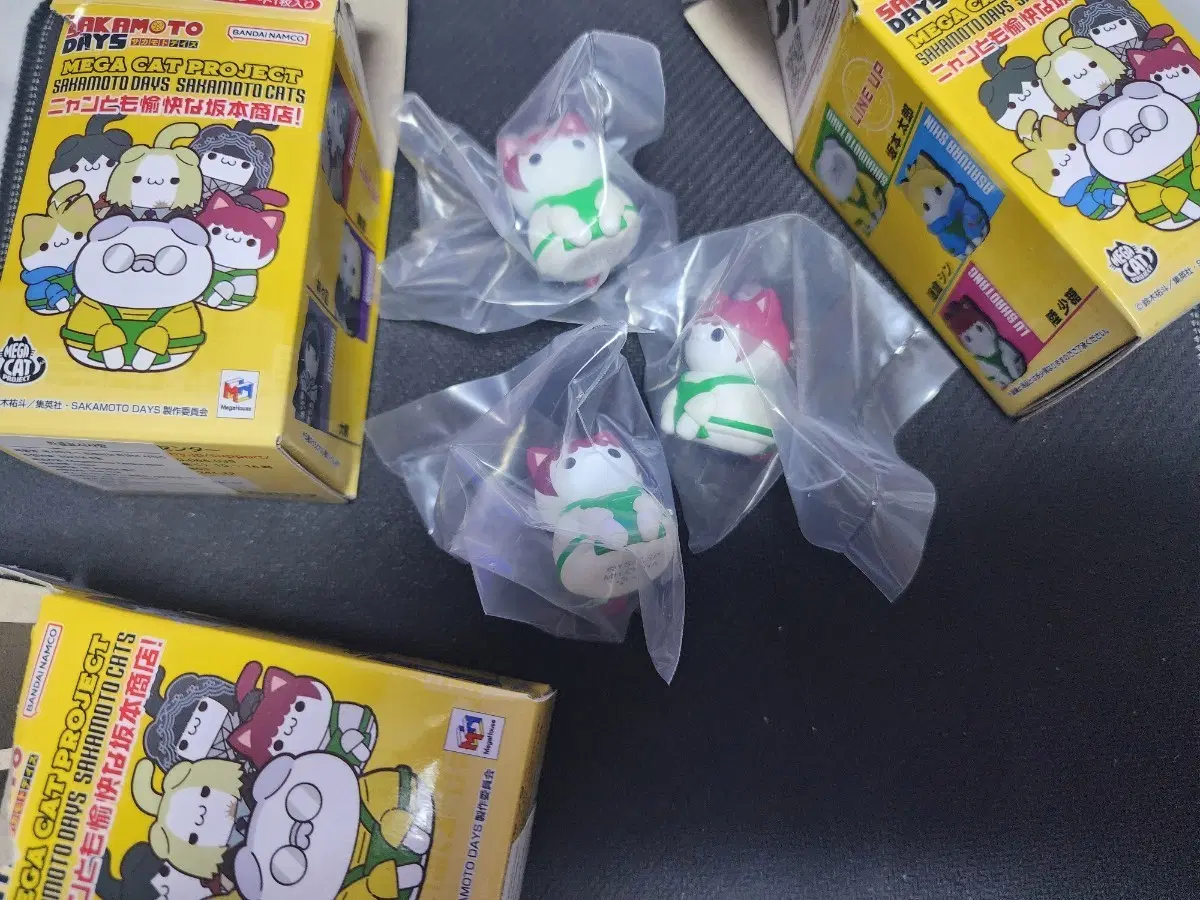 사카모토데이즈 메가켓 루