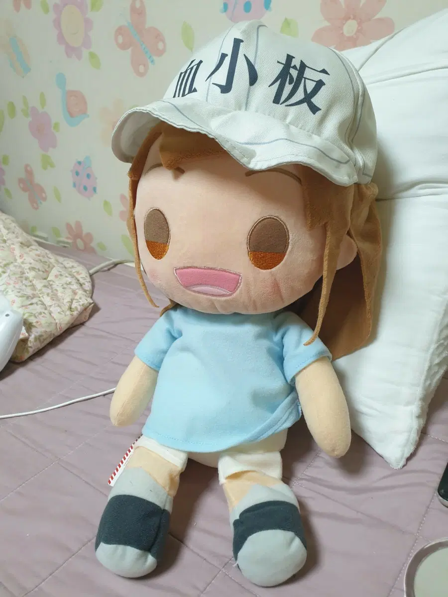 혈소판 인형 일본 에서 직접 사왔어요