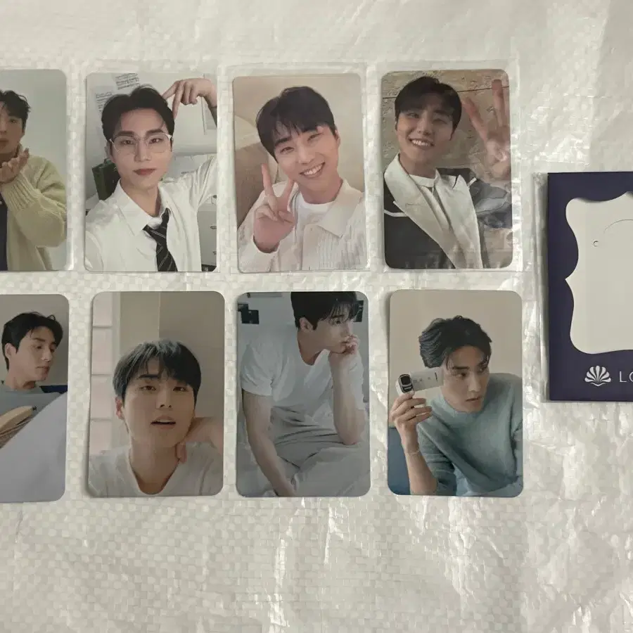 일괄 데이식스 영케이 포토카드 포카 4장 로이비 포카 4장