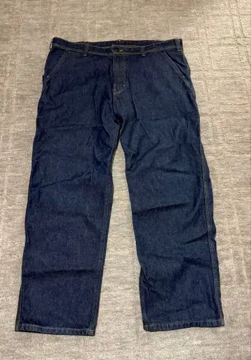 Patagonia Work Denim 5Pocket Pants Short