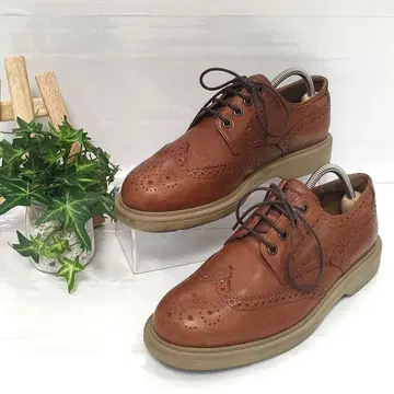 CAMPER 캠퍼 윙팁 가죽 신발 천연 가죽 레더 슈즈 25cm