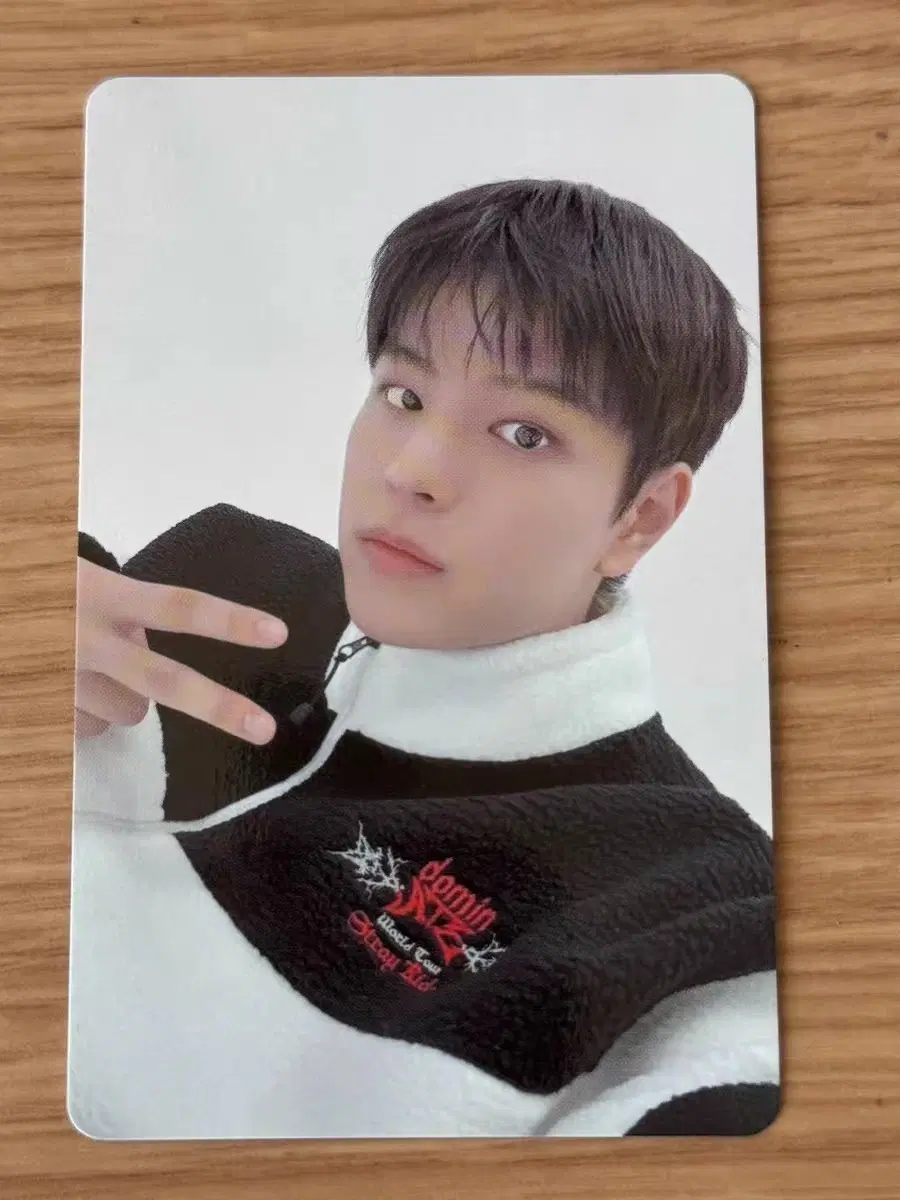 예판 스트레이키즈 일본 포카