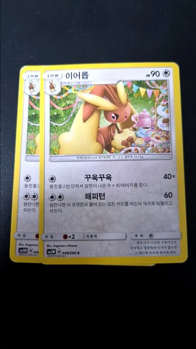 포켓몬 카드 이어롭