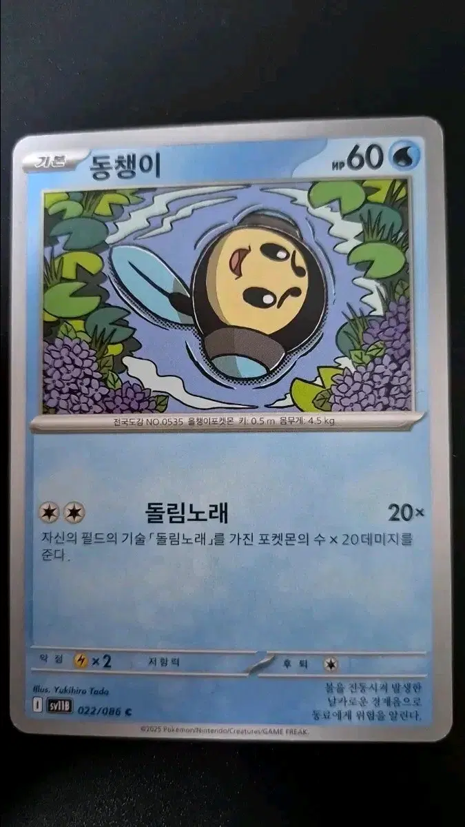 포켓몬 카드 동챙이