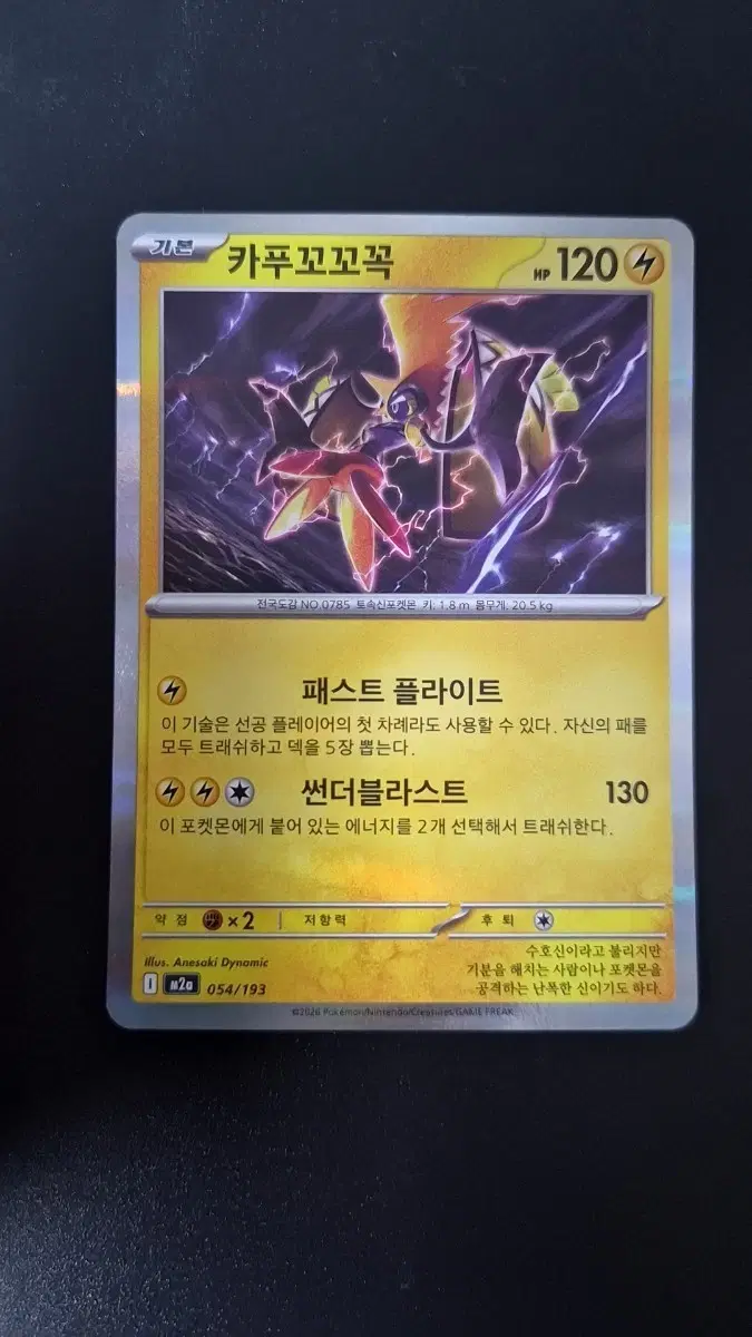 포켓몬 카드 카푸꼬꼬꼭