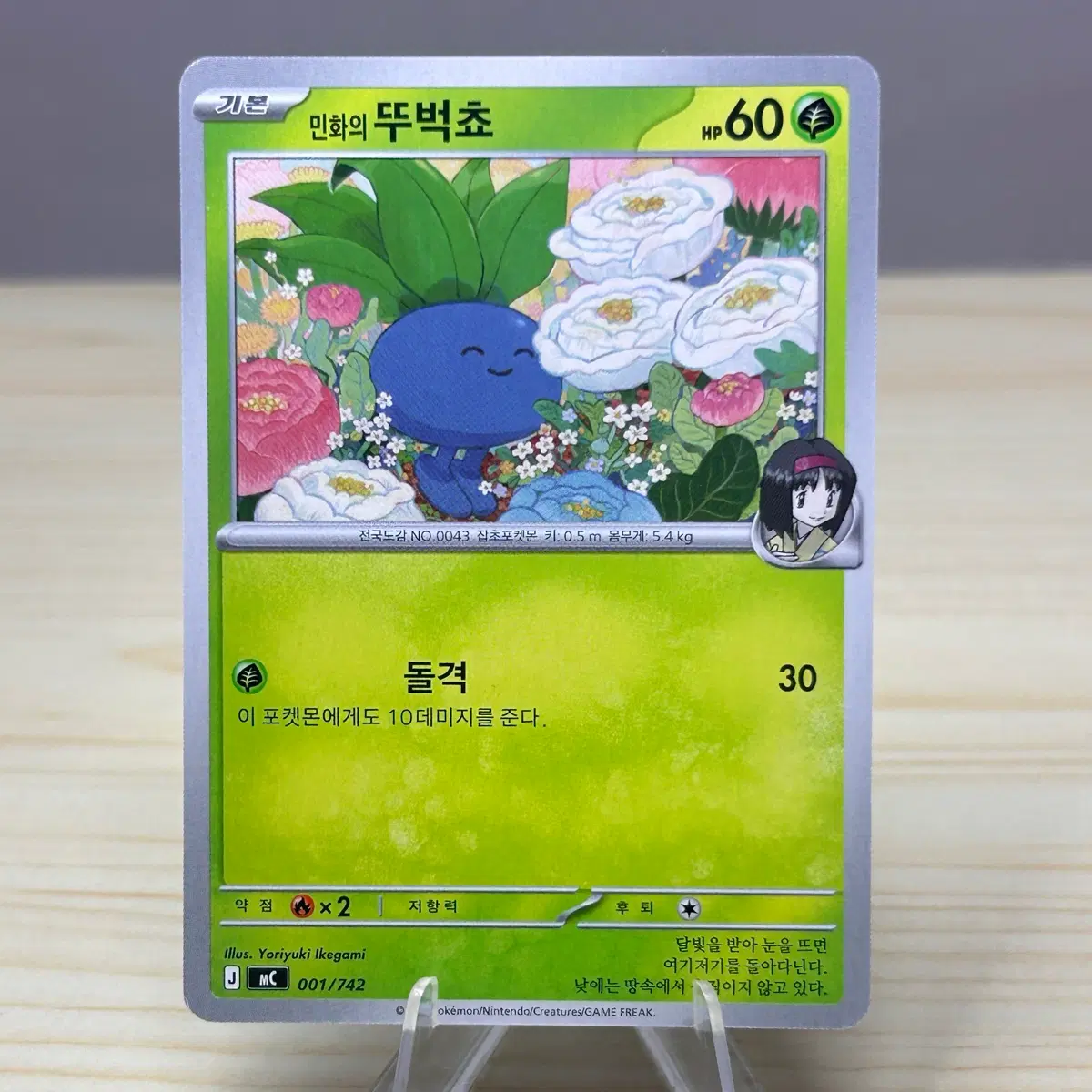 [포켓몬카드] 민화의 뚜벅쵸 mC 001/742