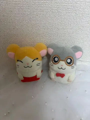 마이도군 안경군 봉제 인형