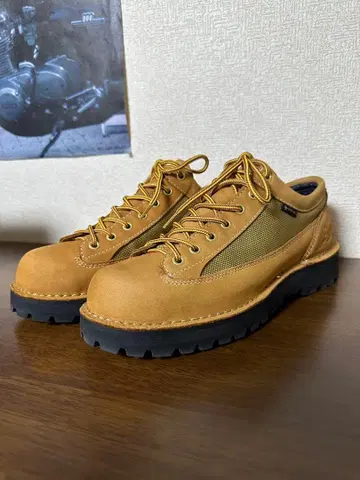Danner Field Low 워크 부츠