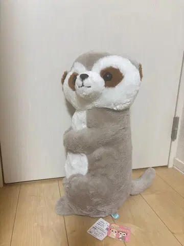 AMUSE 코치무이테 미아쨩 나카요시 봉제 인형