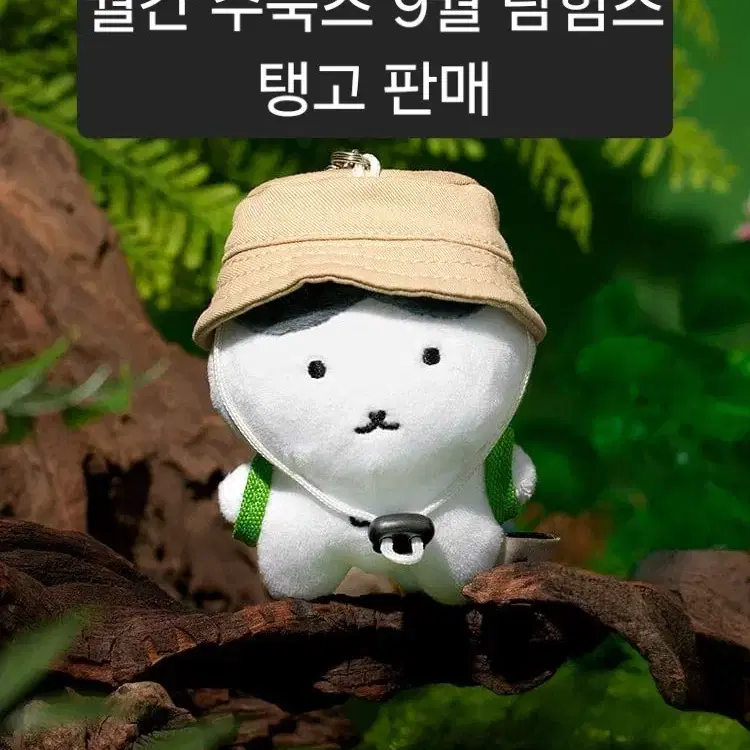 월간 수북즈 팝업스토어 9월 탐험즈 인형 탱고