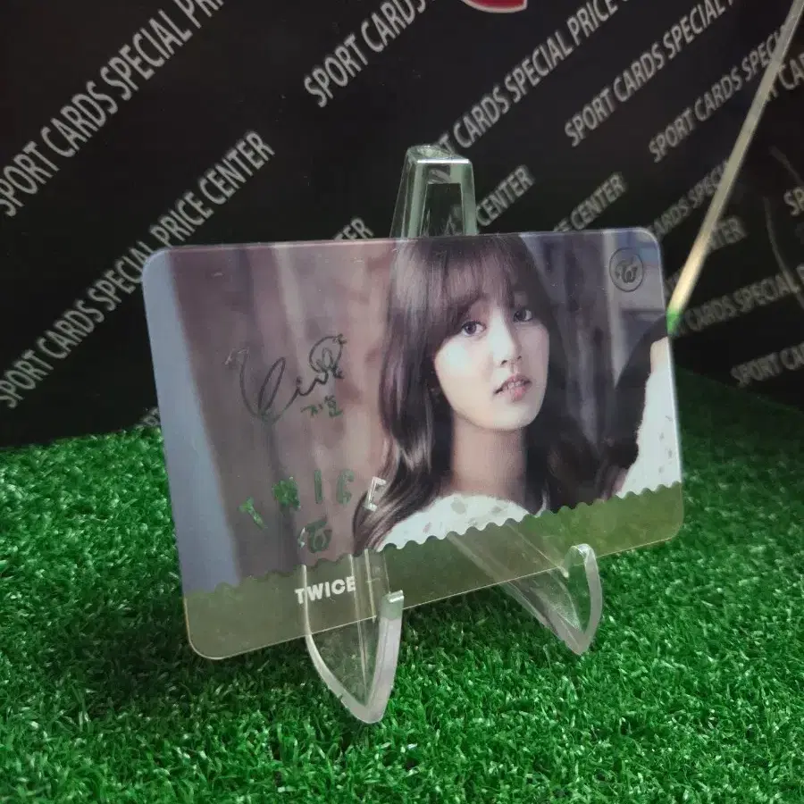 트와이스 지효 포토카드