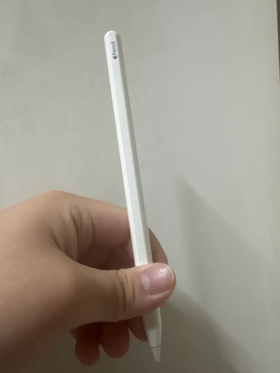애플펜슬2세대