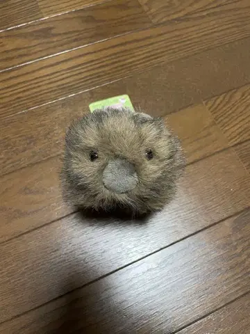 차우스 산 동물원 웜뱃 봉제 인형 키링