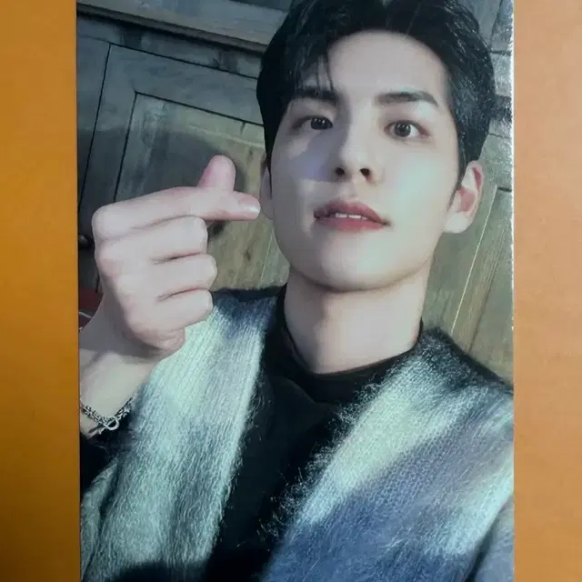 ๋ฐ์ด์์ค ์ํ ํฌ์๋ฒ ํฌ์นด