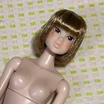 petworks momoko ae A line nostalgia 본체만