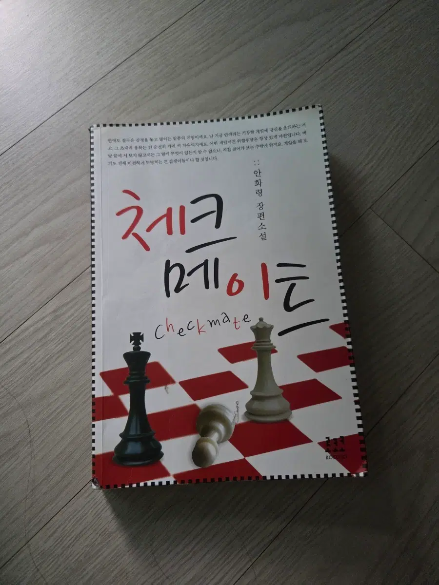 안화령 장편소설 체크메이트