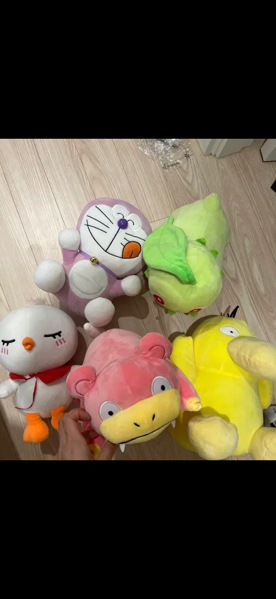 포켓몬 인형 세트