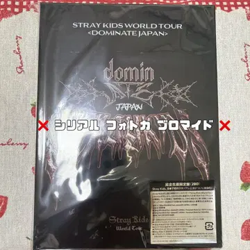 StrayKids 스키즈 domin ATE BluRay 초회 한정판
