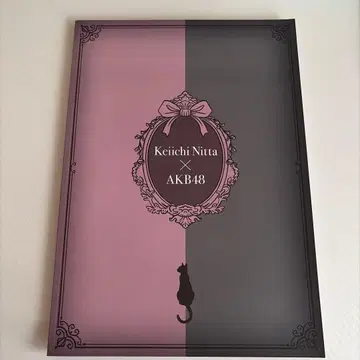 [새상품급] AKB48 의상전 팜플렛