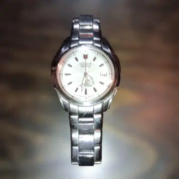 CITIZEN ATESA 에코드라이브 손목시계