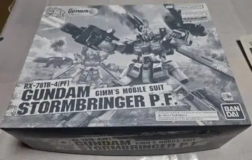 MG 1/100 건담 스톰 브링거 P.F