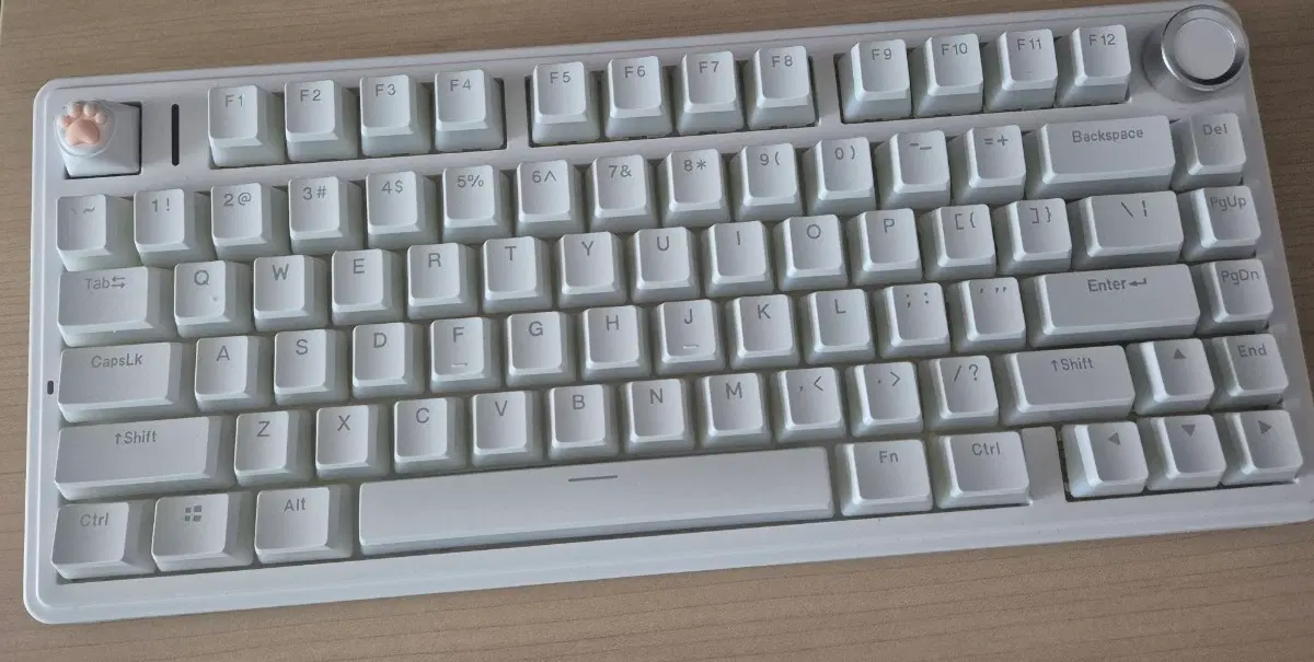 독거미 AULA F75 판매