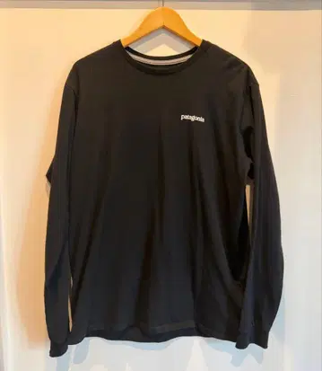 Patagonia Long-Sleeved Fitz Roy Tee