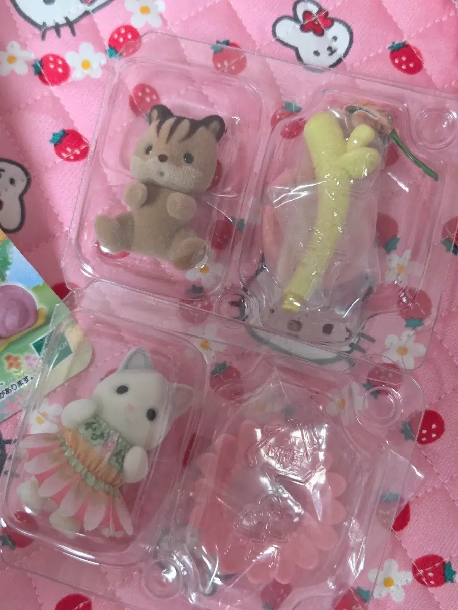 실바니안 블라인드백 일괄