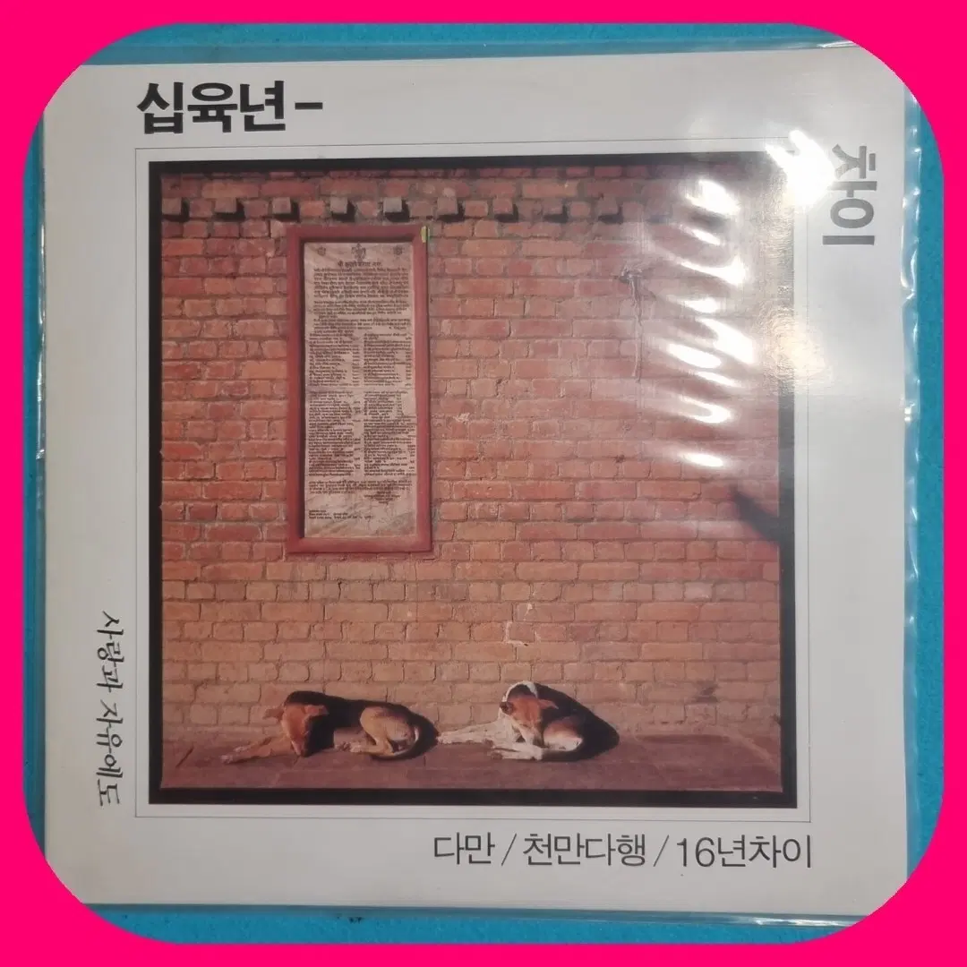 16년차이 LP NM/NM