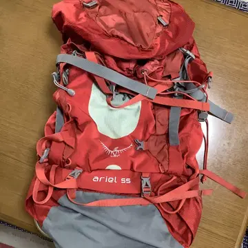 Osprey 여성용 대형 자크 Ariel 55