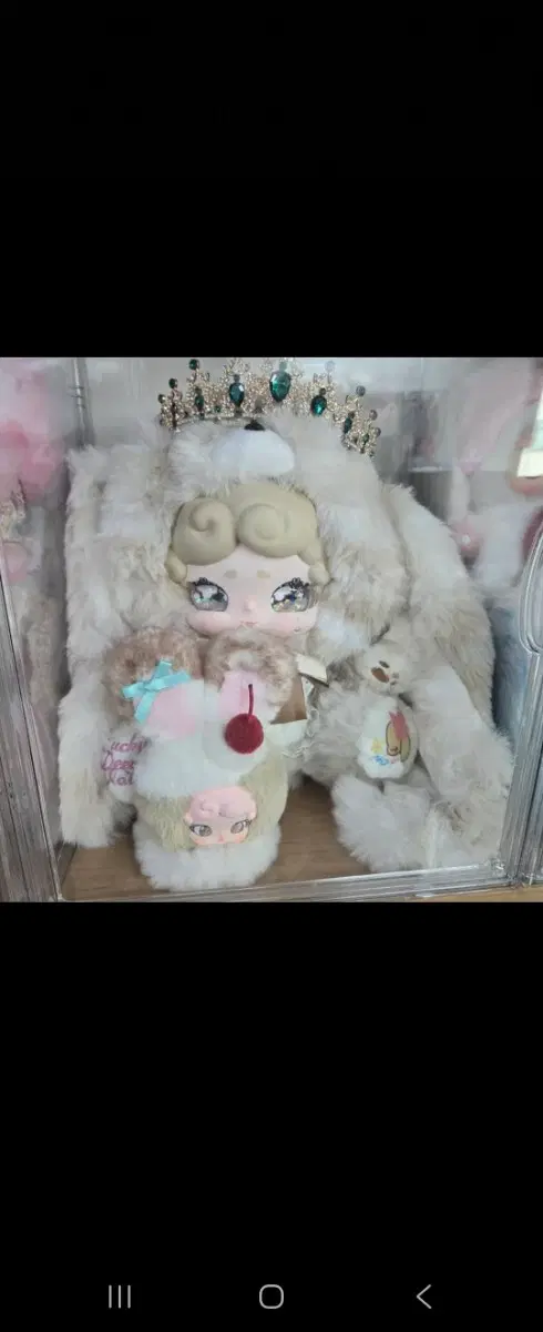 밤토끼